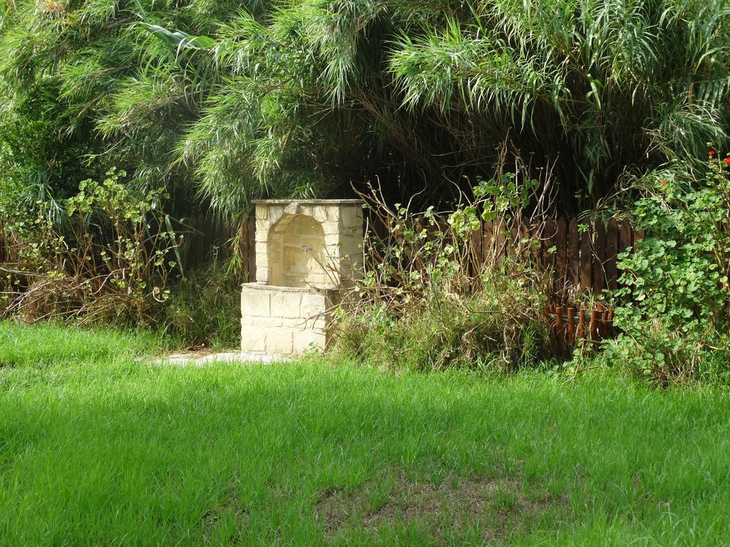 Palm Tree Oriental House And Homestay Polis 外观 照片
