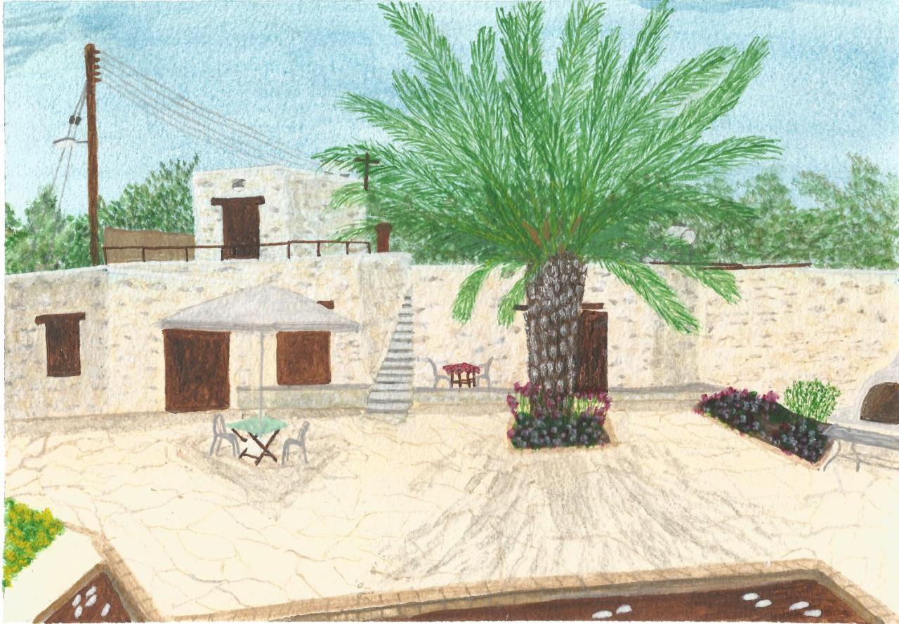 Palm Tree Oriental House And Homestay Polis 外观 照片